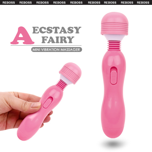 <strong>เครื่องนวดเล็ก Aecstasy Fairy</strong> <br><font color=#FF0000>รหัสสินค้า: AA114</font><br>